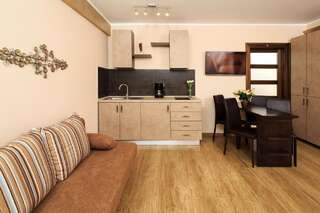 Апарт-отели Style Residence Сибиу Номер-студио с диваном-кроватью-17