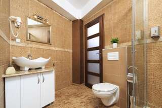 Апарт-отели Style Residence Сибиу Номер-студио с диваном-кроватью-27